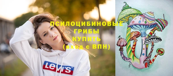 соль ск Мегион