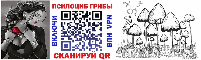 Купить  Троицк  Галлюциногенные грибы Cubensis 